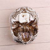 skull flower pot bottom view