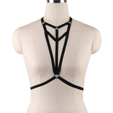 harness with 4 loops and chest coverage